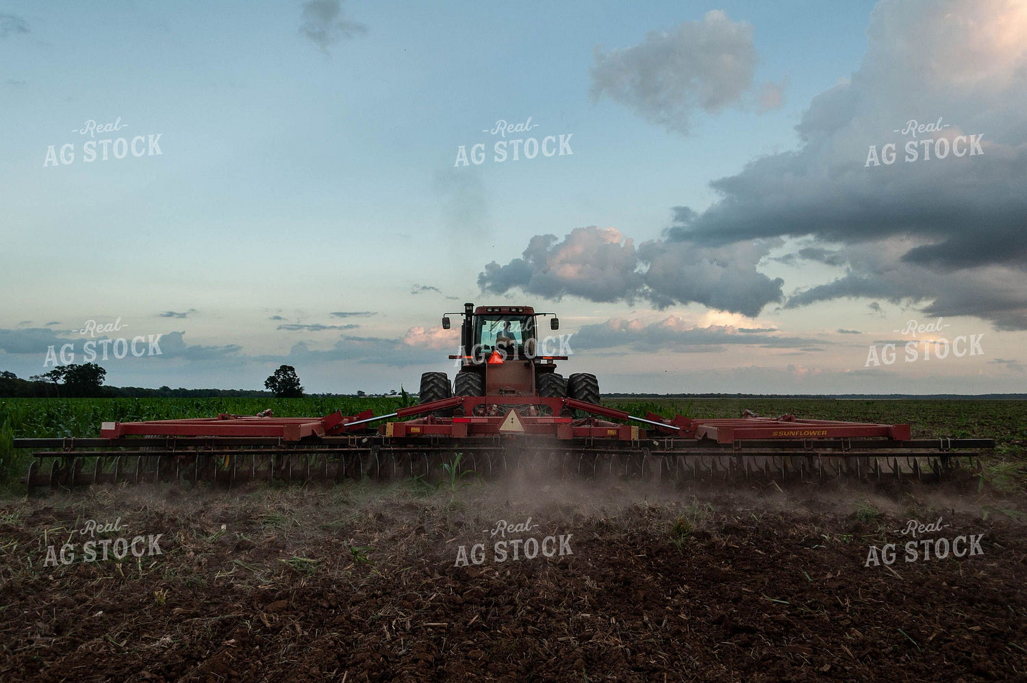 Disc in Corn Field 59048