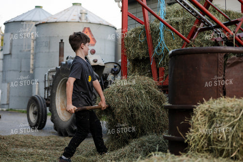 Farm Kid Scooping Hay 195031