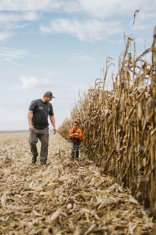 Farmer and Son Checking Corn 8535
