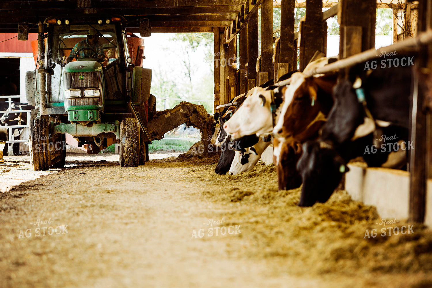 Dairy 2672