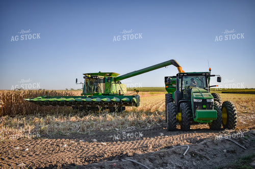 Combine Augering Corn into Grain Cart 56182