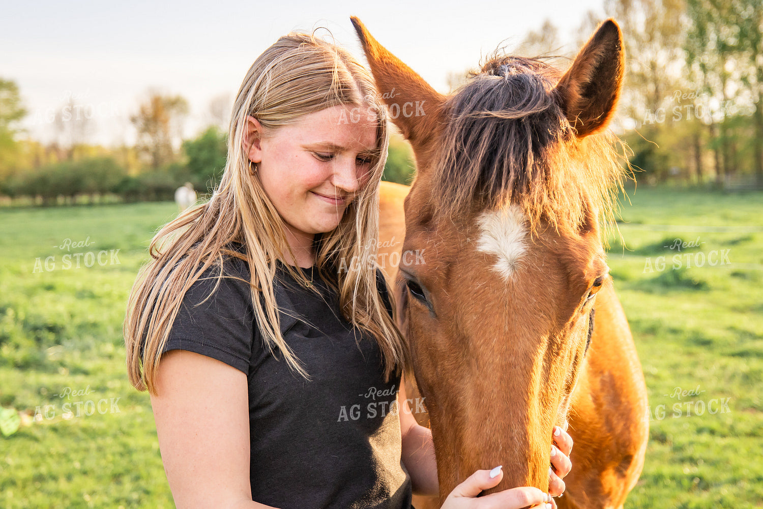 Farm Kid with Horse 270207
