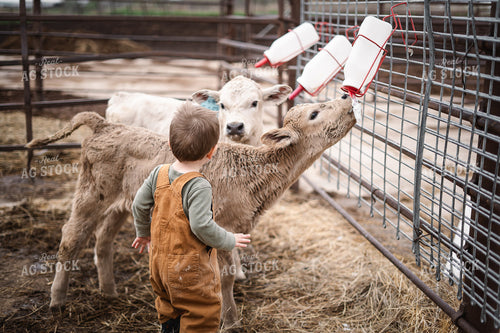 Bottle Calves 196026