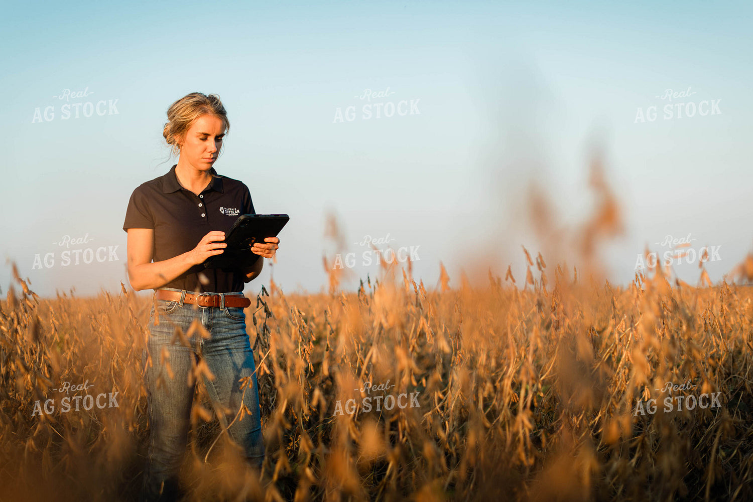 Female Agronomist on Tablet in Field 8324