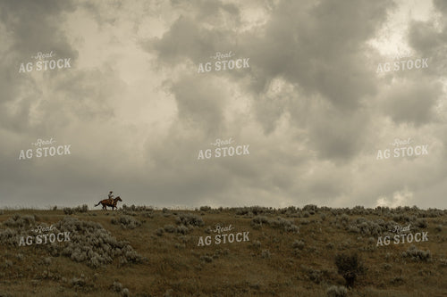 Rancher on Horseback 58290