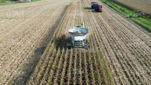 Aerial of Corn Harvest 149067