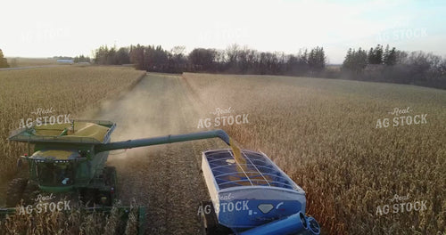 Aerial of Corn Harvest 250005