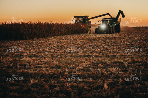 Combine and Auger Cart Harvesting Corn Field 5251
