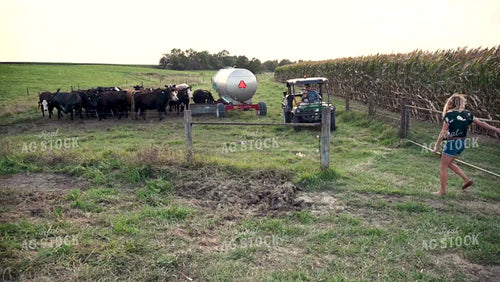 Farm Family in the Cattle Pasture - 381