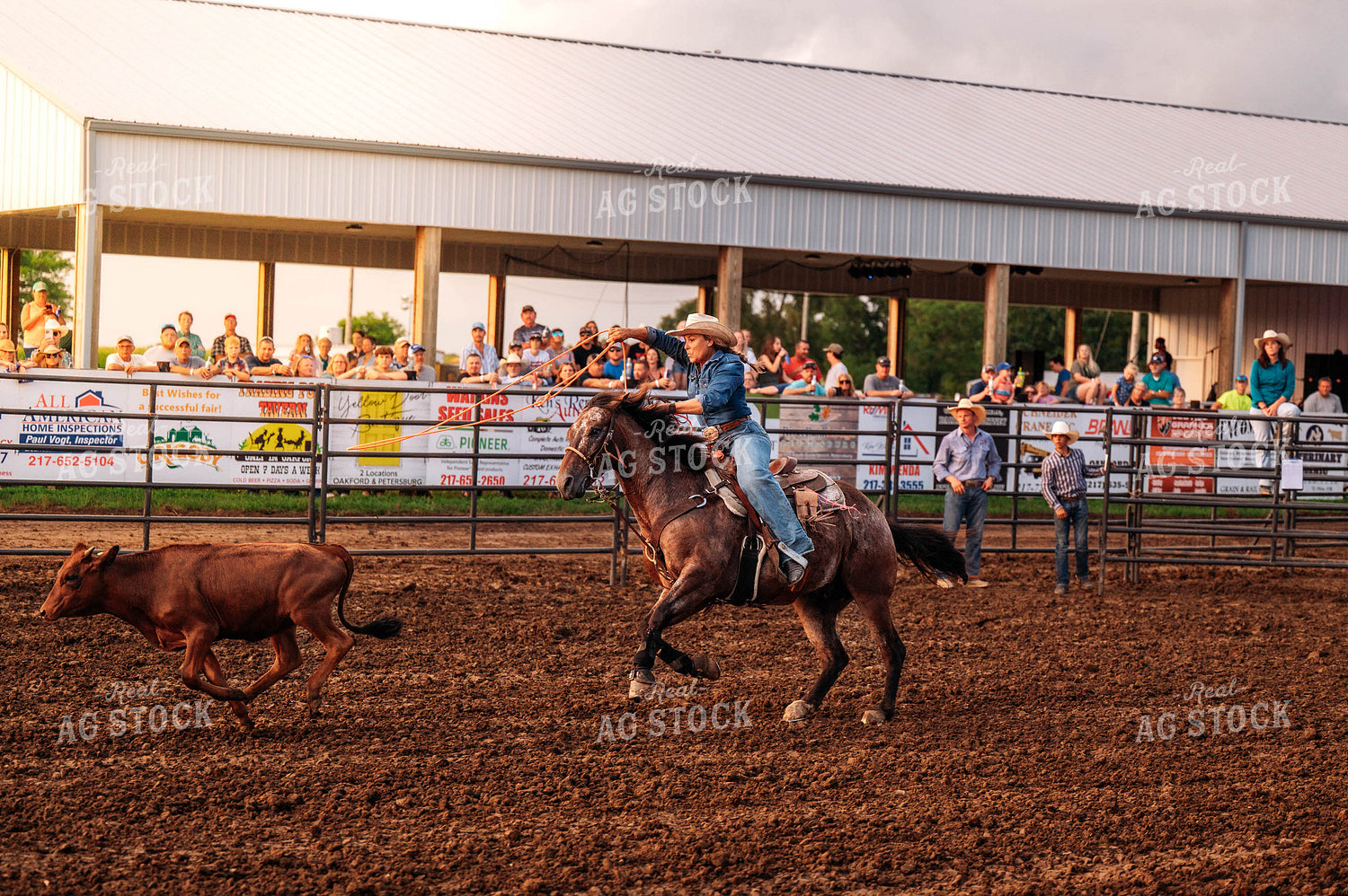 Rodeo 115789