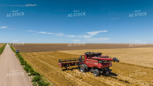 Wheat Harvest 199055