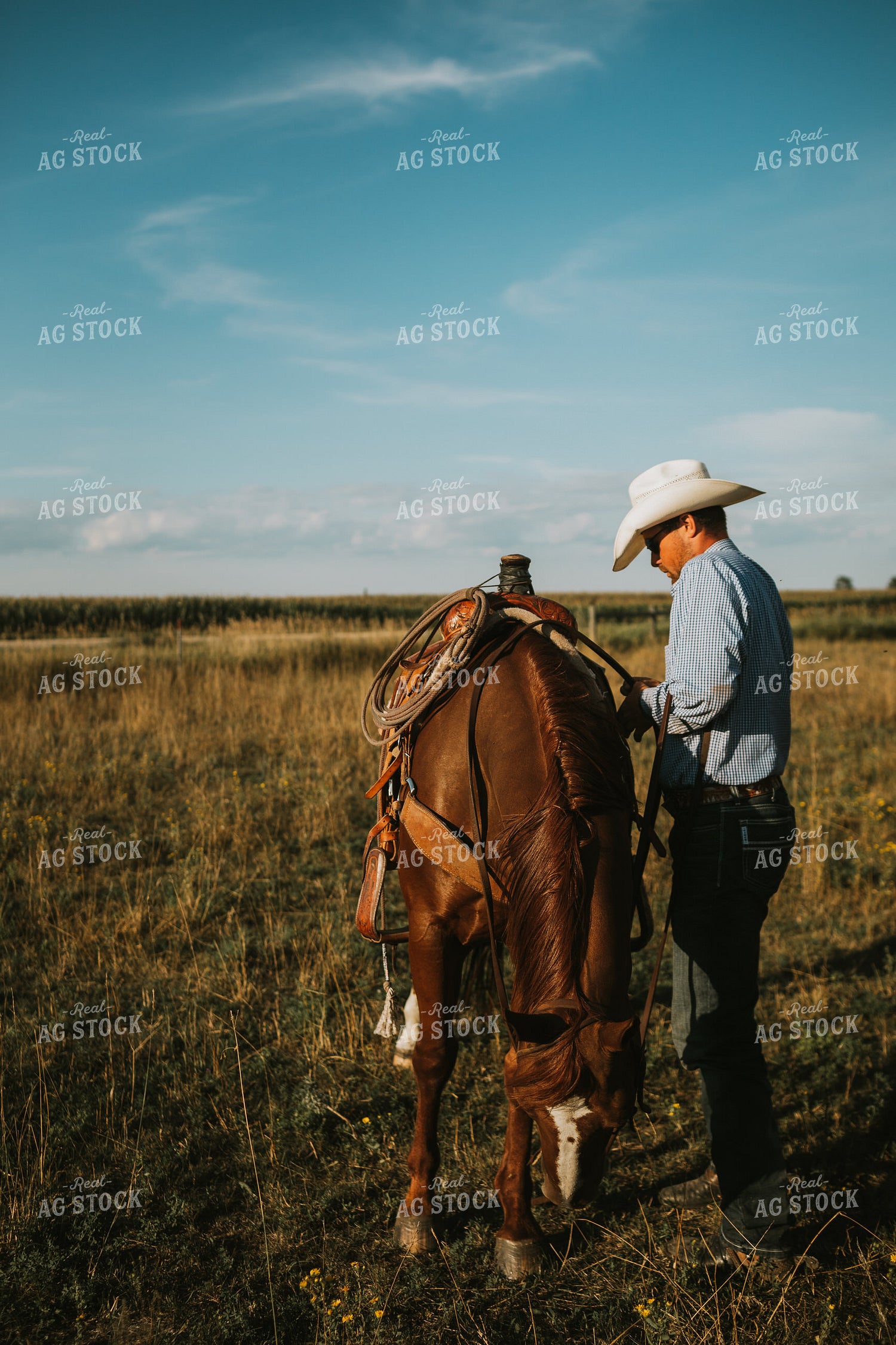 Male Farmer with Horse 6377