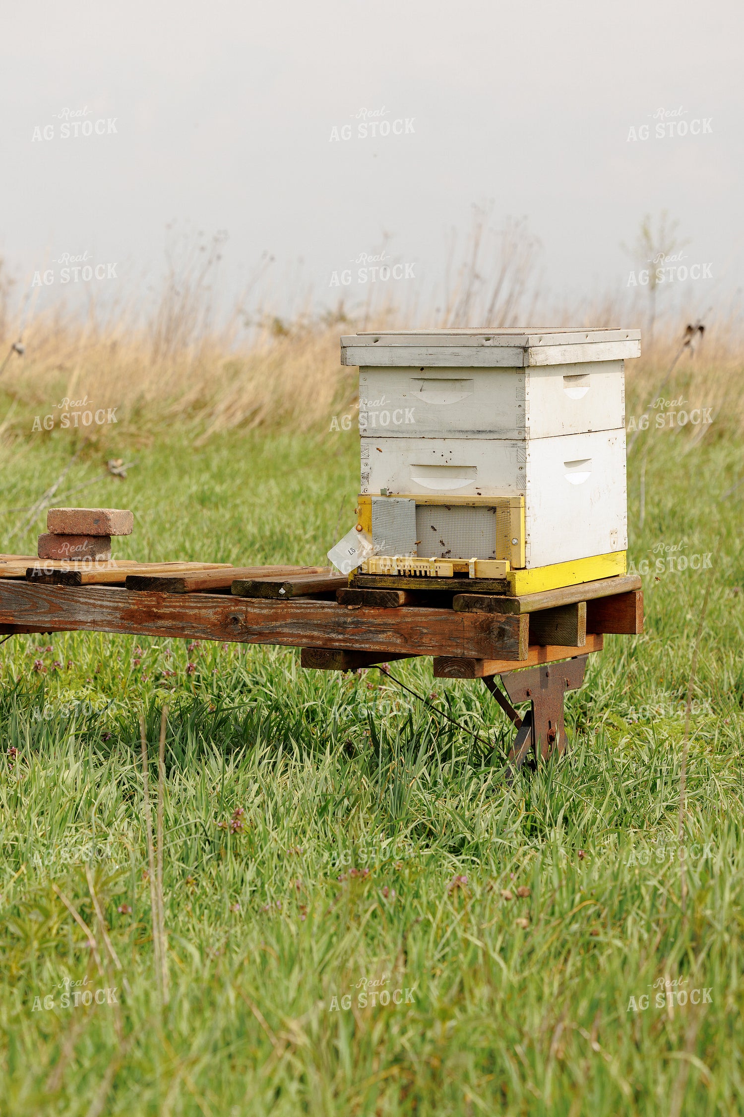 Bee Box 104024