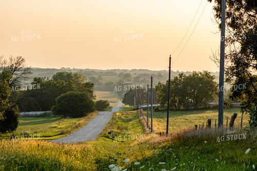 Country Road 214083