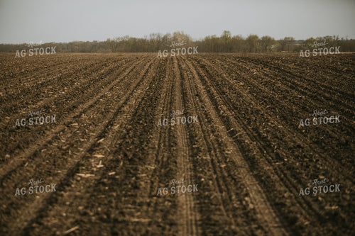 Just Planted Soil in Field 5479