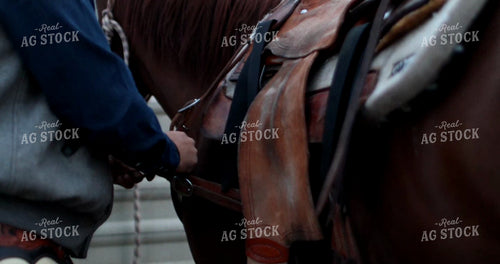 Rancher Saddling Horse 6521