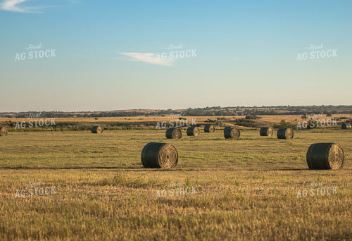 Hay Bales in Field 72086