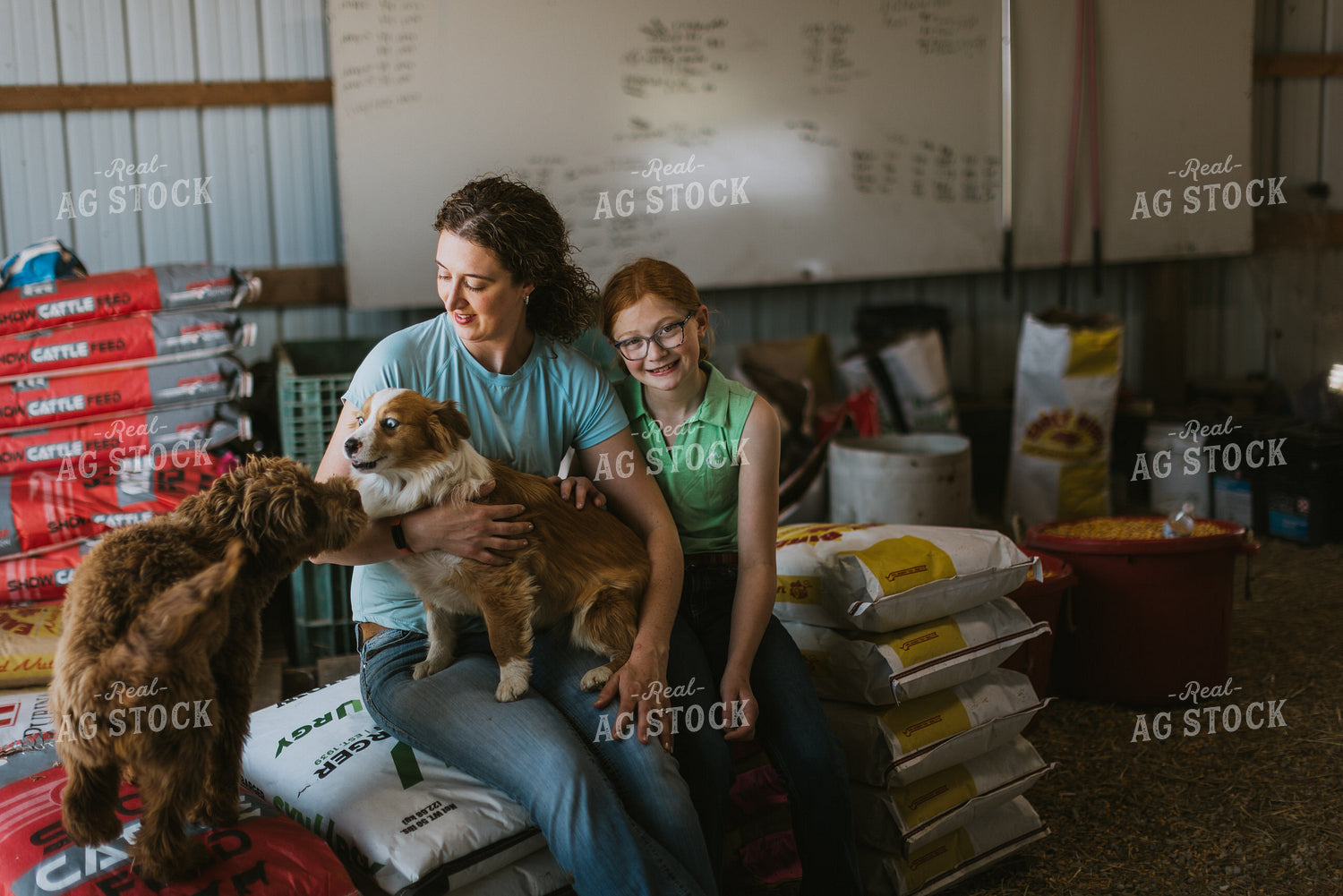 Female Farmer and Kid with Farm Dogs 7883