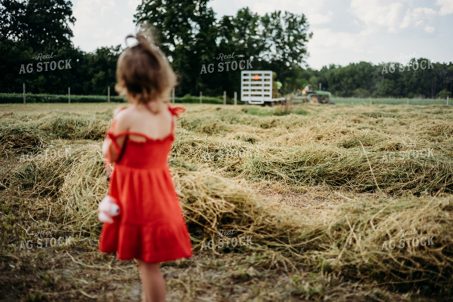 Farm Kid Watching Baling Square Hay Bales 281032