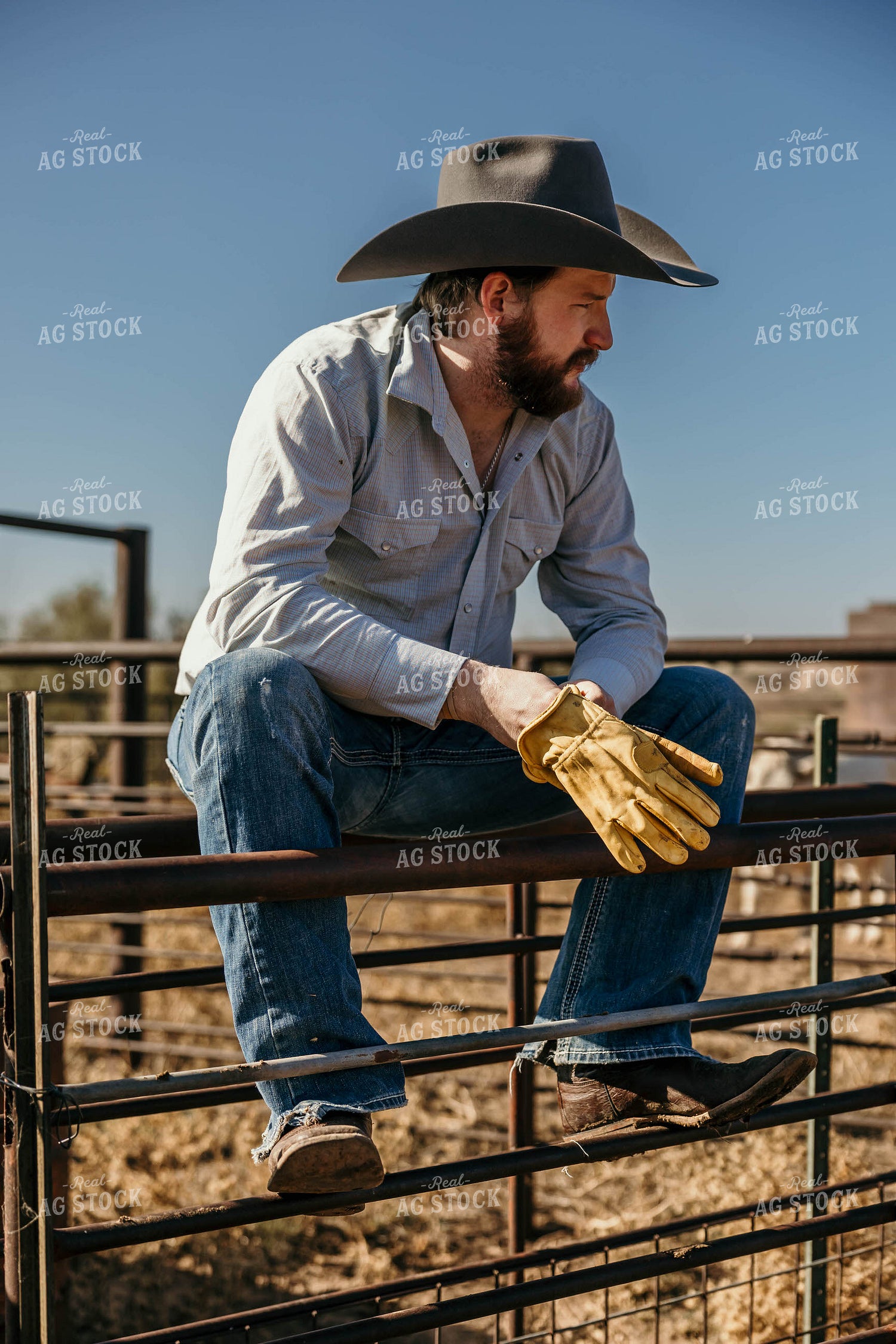Rancher 98074