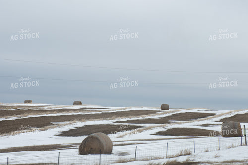 Bales of Hay in Snow 50352