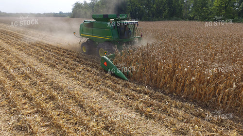 Corn Harvest 85032