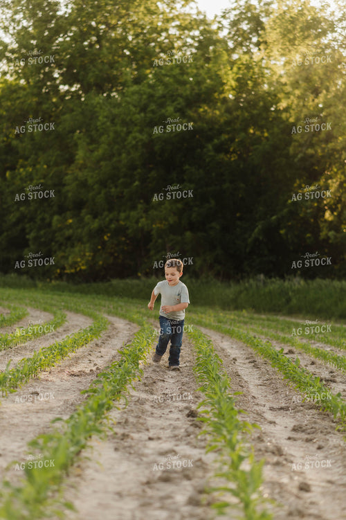 Farm Kid Running in Early Growth Corn Field 115059