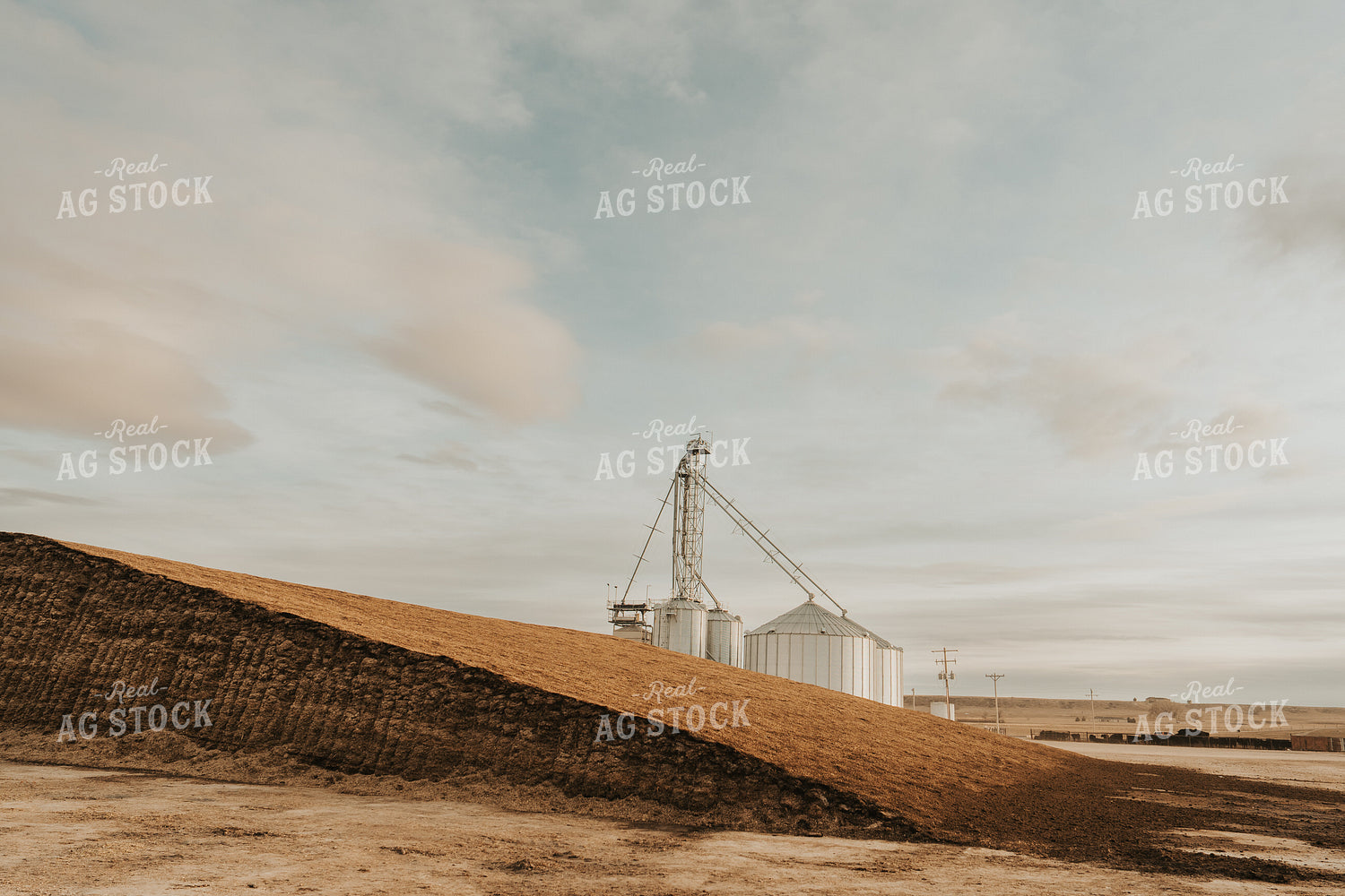 Uncovered Silage Pile 61264