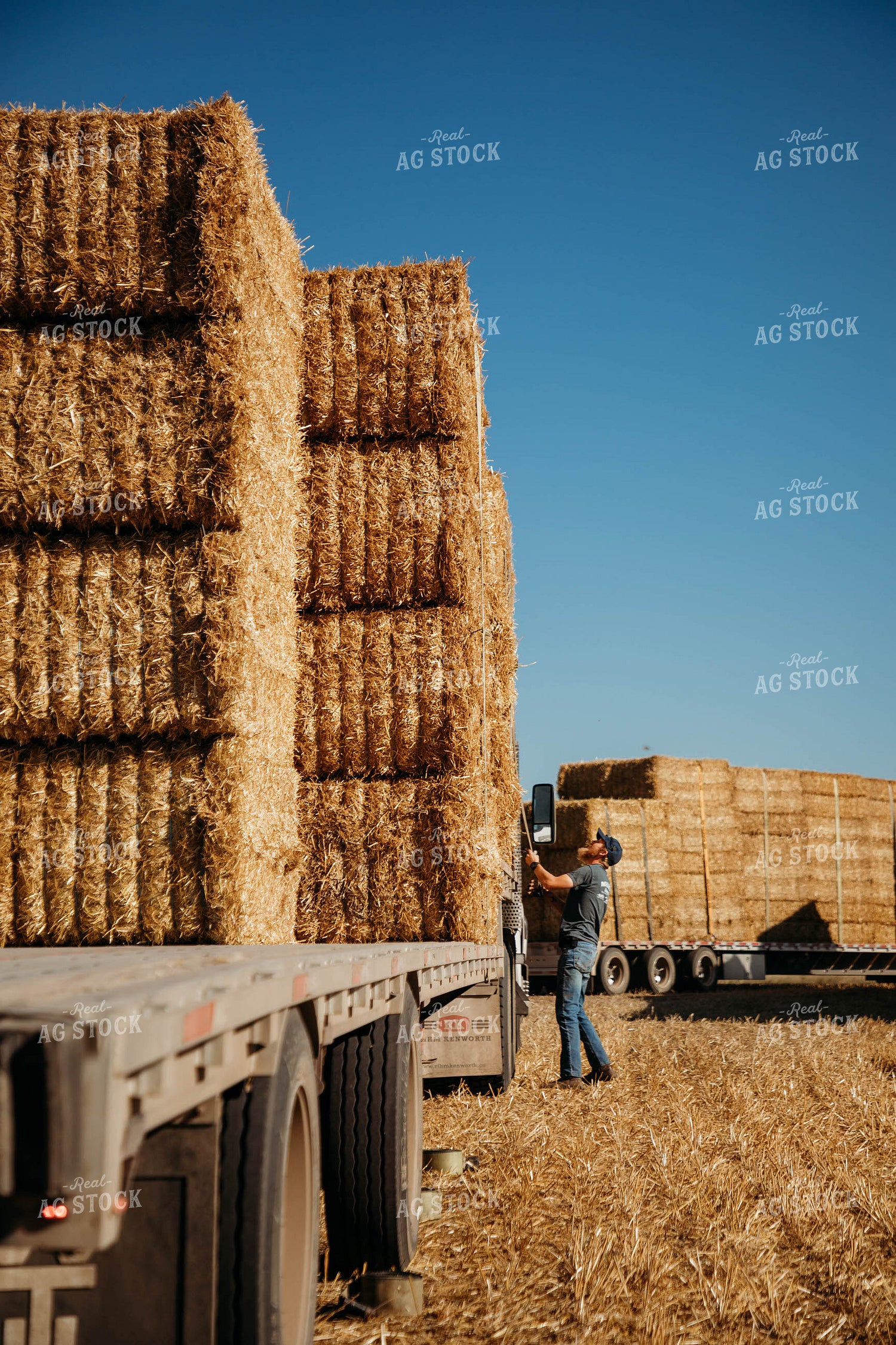Loading Straw Bales 152195