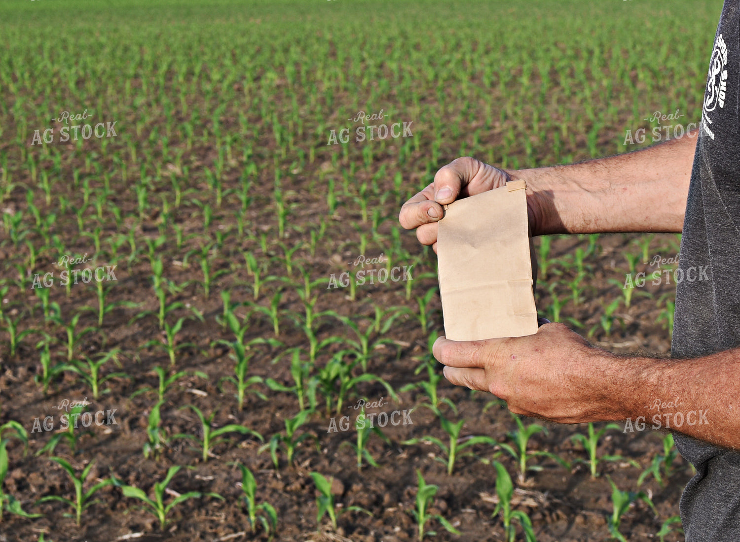 Soil Sampling 100049