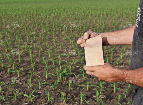 Soil Sampling 100049