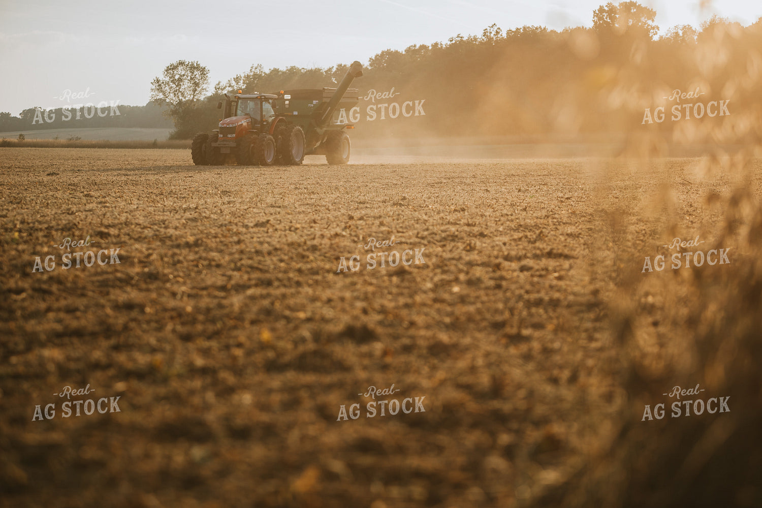 Grain Cart in Soybean Field 4848