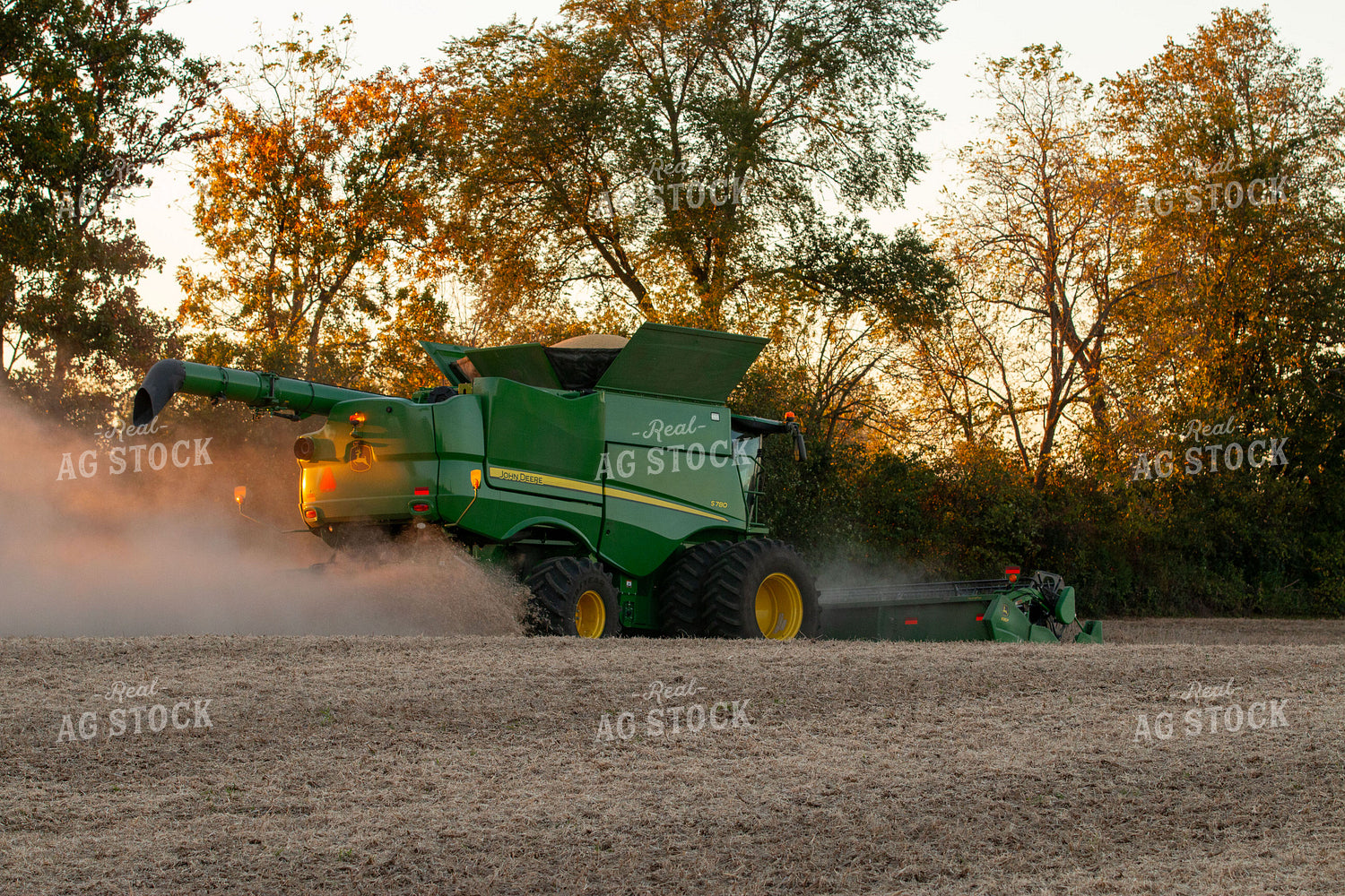 Soybean Harvest 157117