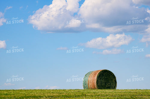 Hay Bale 214042