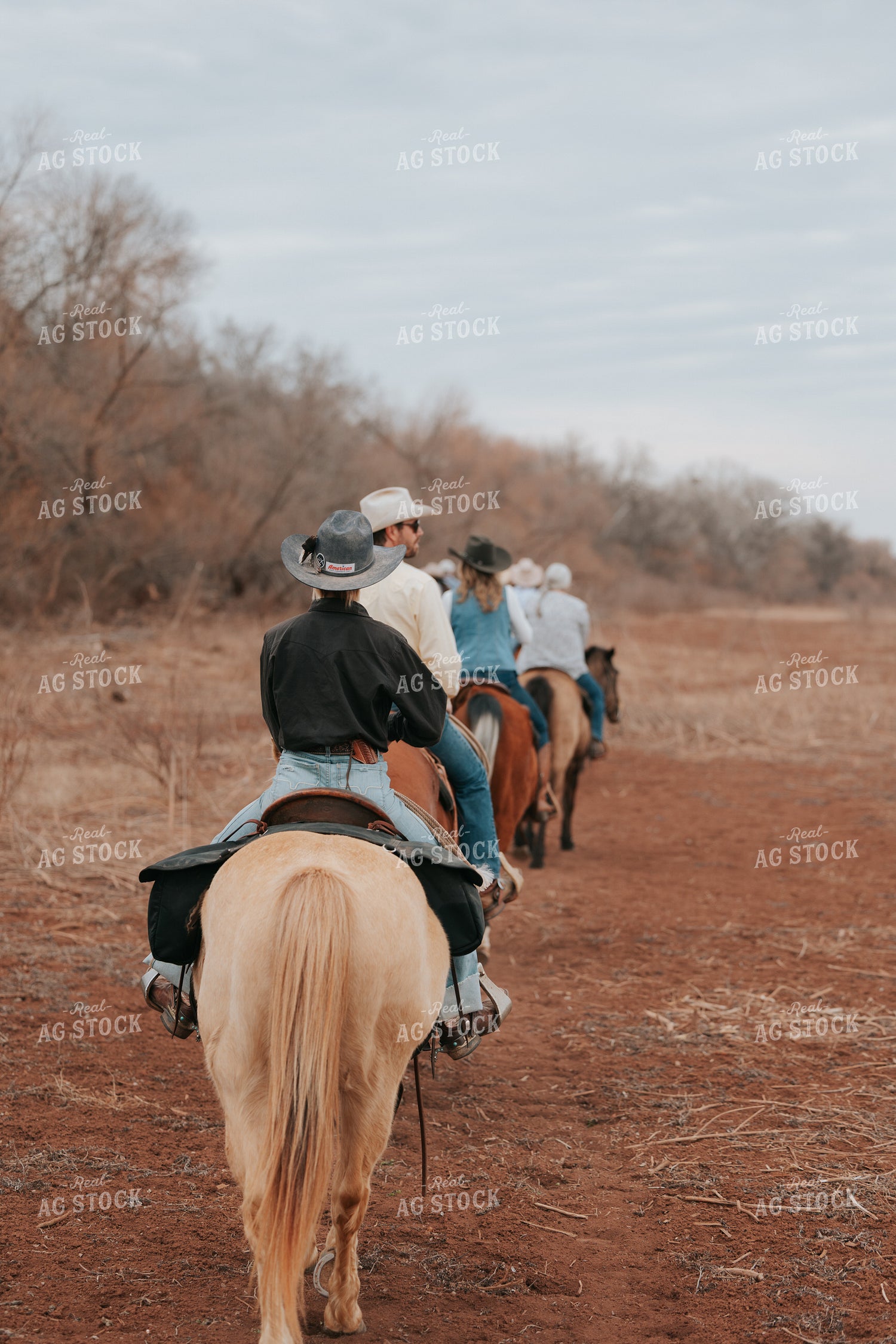 Trail Ride 205143