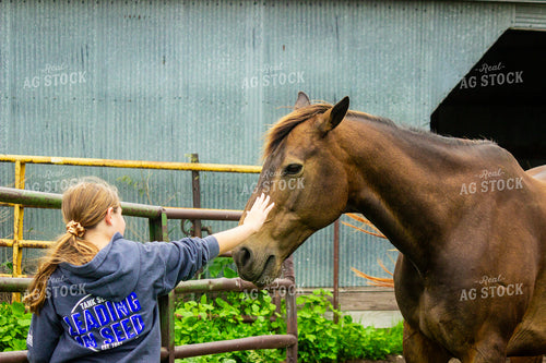 Farm Kid Petting Horse 155229