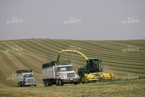 Harvesting Hay Silage 70078
