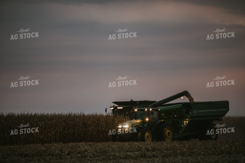 Corn Harvest 6706