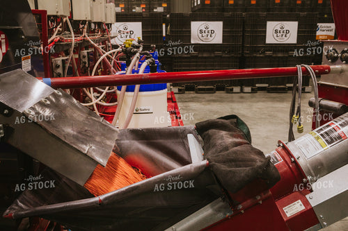 Treated Soybeans Exiting Seed Treater 5363