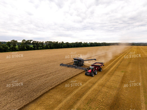 Wheat Harvest 115966