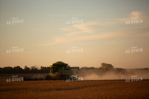 Harvest 1718