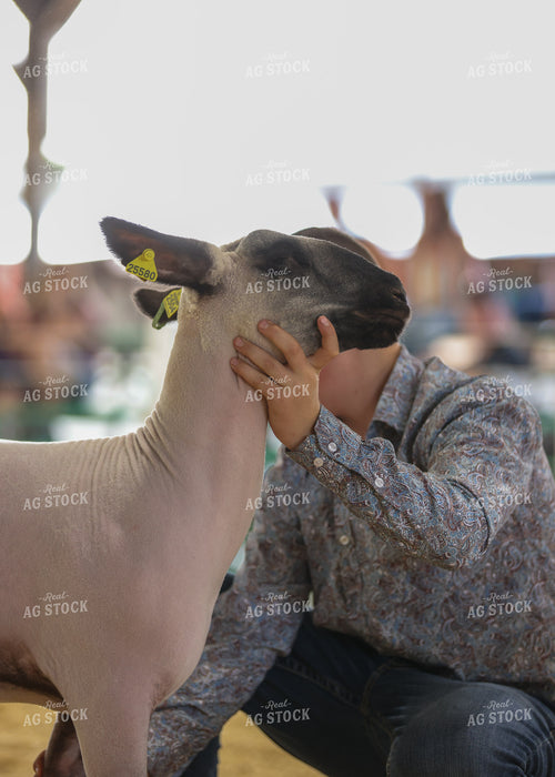 Showing Goats 160156