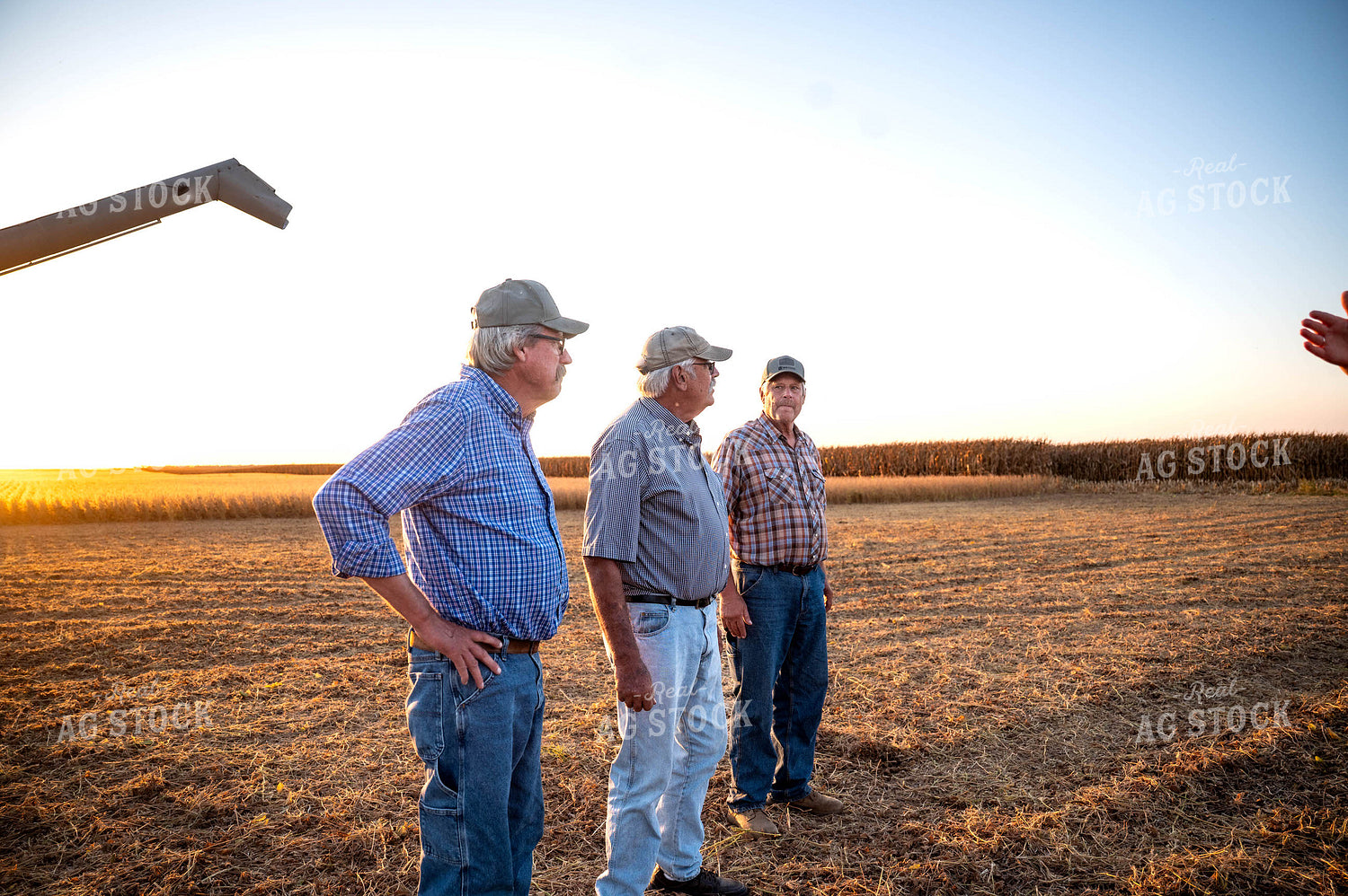 Farm Family at Soybean Harvest 115881