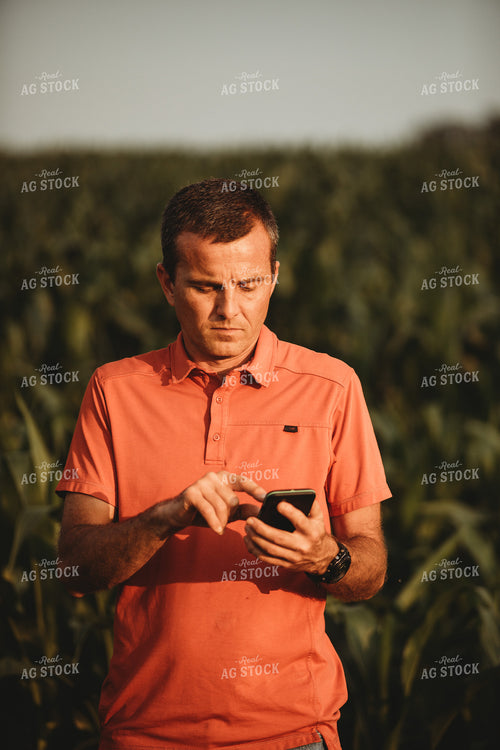 Farmer Looking at Phone next to Corn Field 4550