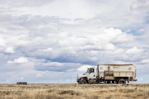 Feed Truck 72194