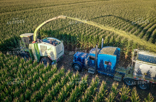 Silage Harvest Drone 56237