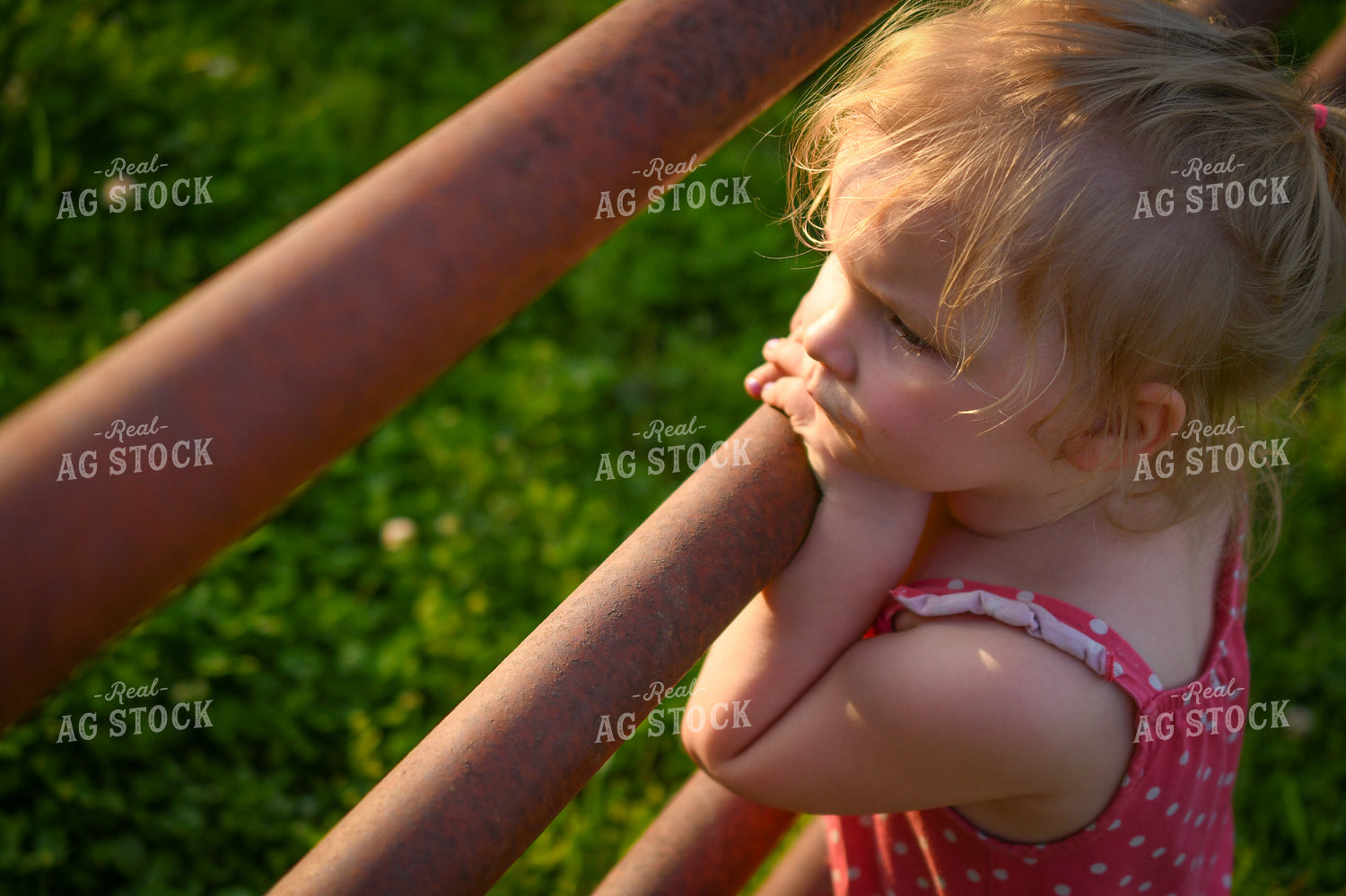 Farm Kid Leaning on Fence 191166