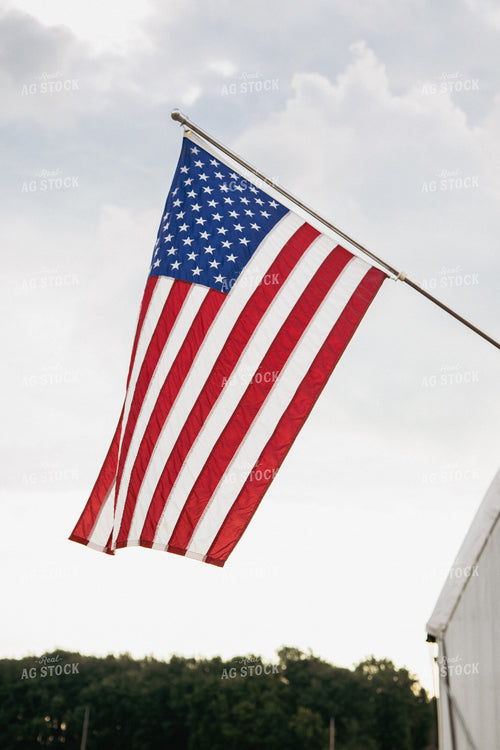 American Flag 67361