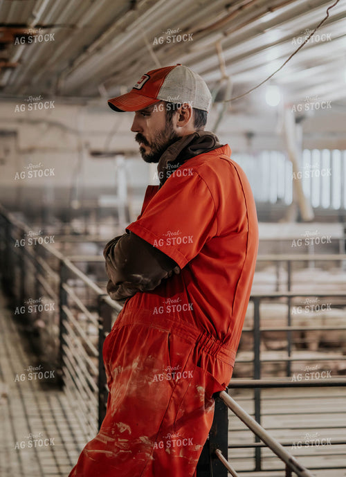 Farmer in Pig Barn 289068