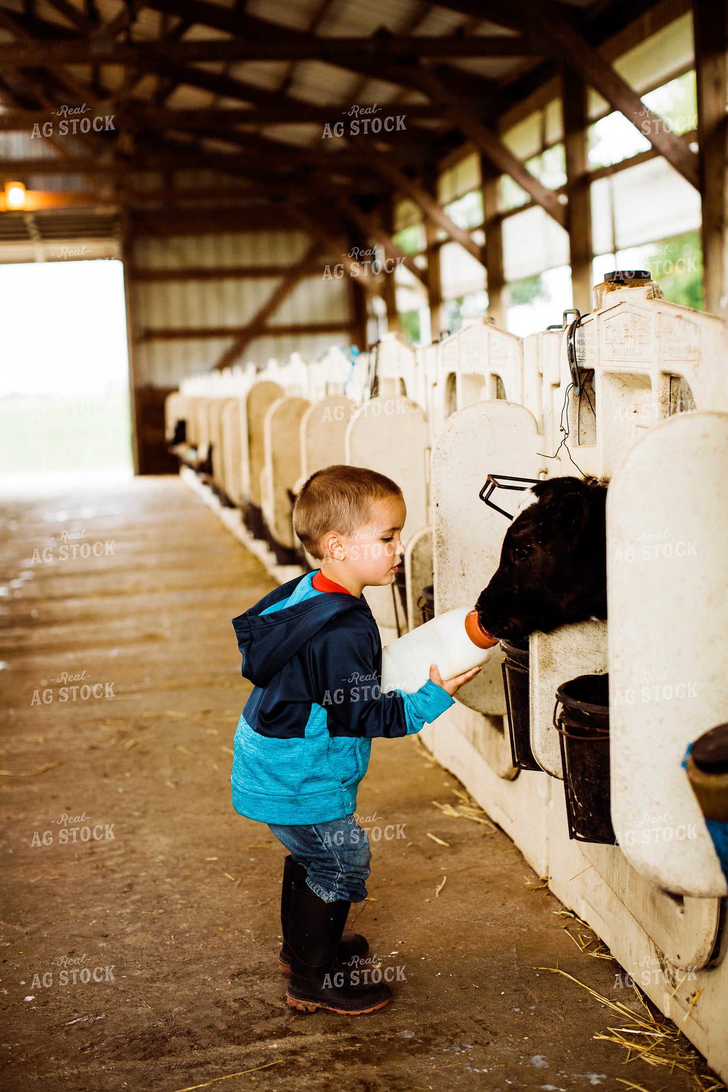 Dairy 2750